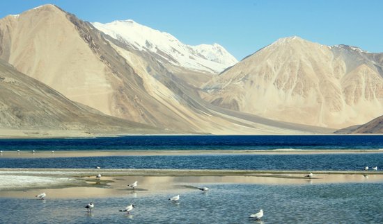 Pangong Tso Lake